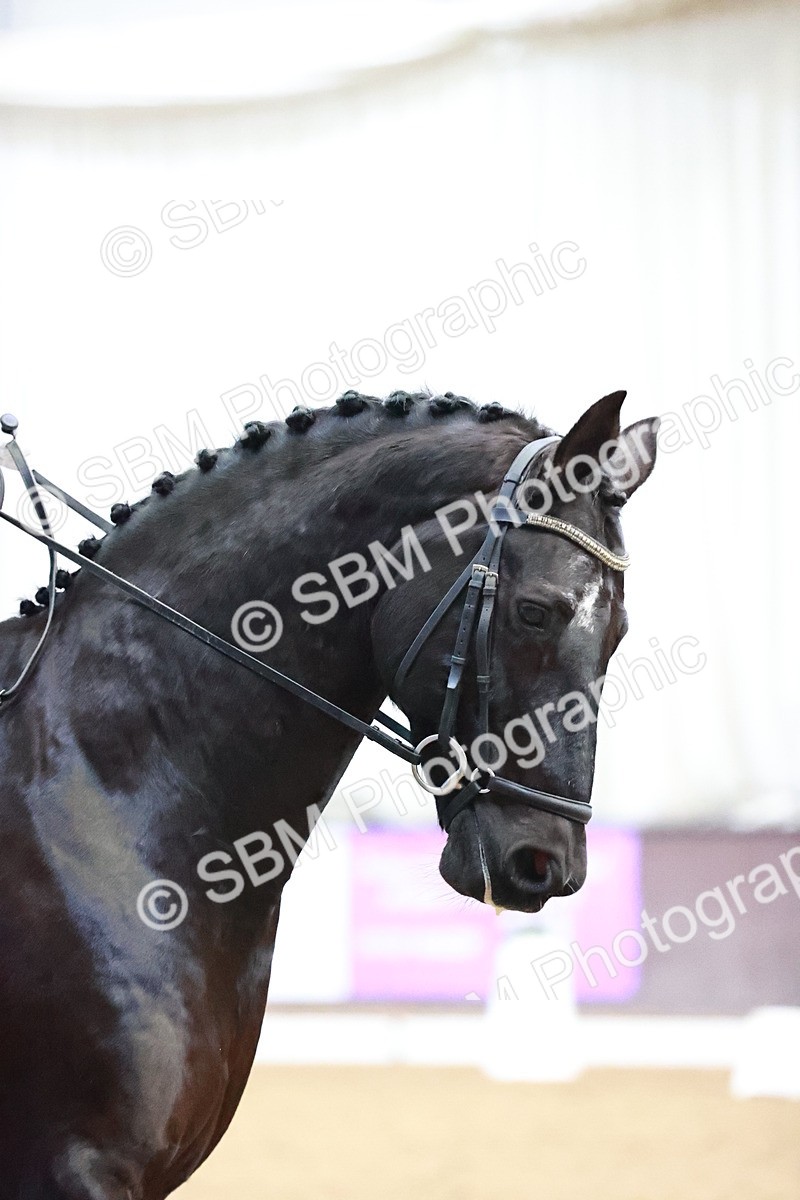 SBM_000531 - Class 7 - Medium 3