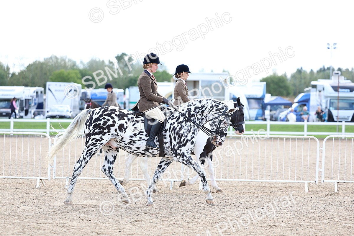 SBM_17081 - Class 315 - Best Horse - Rider Combination