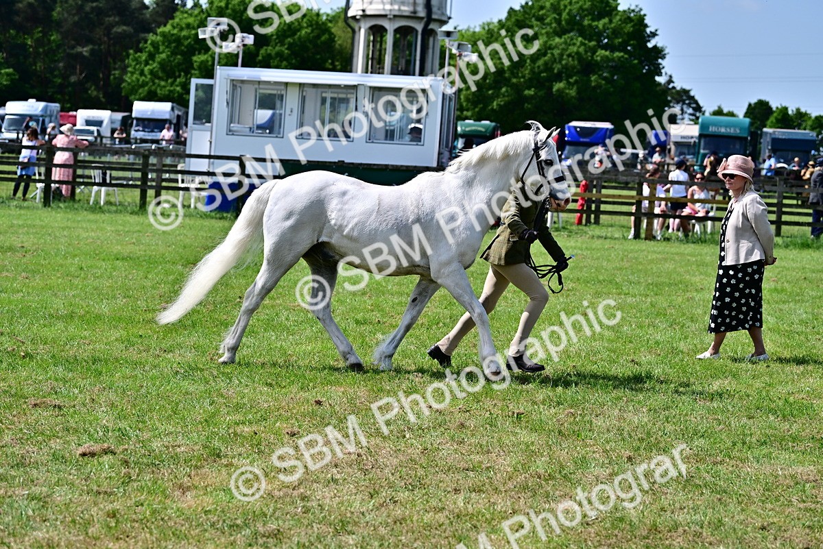 SBM_03899 - Class 58 - TSR  Ridden Veteran Amateur of the year