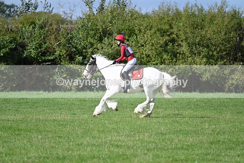 WJ7_8949 - Time 11:10 to 11:53