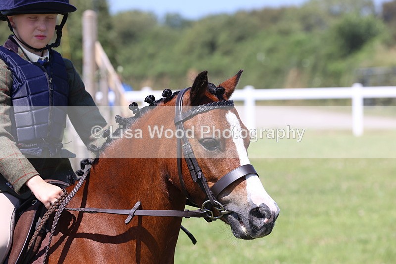JPP_2260 - Class 20: Tiny Tots Working Hunter Pony