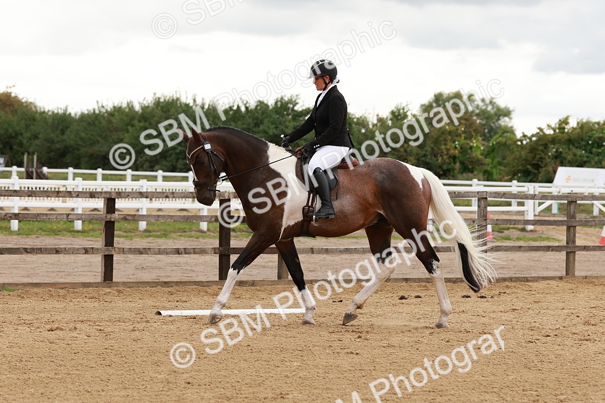 SBM_002771 - Novice 2