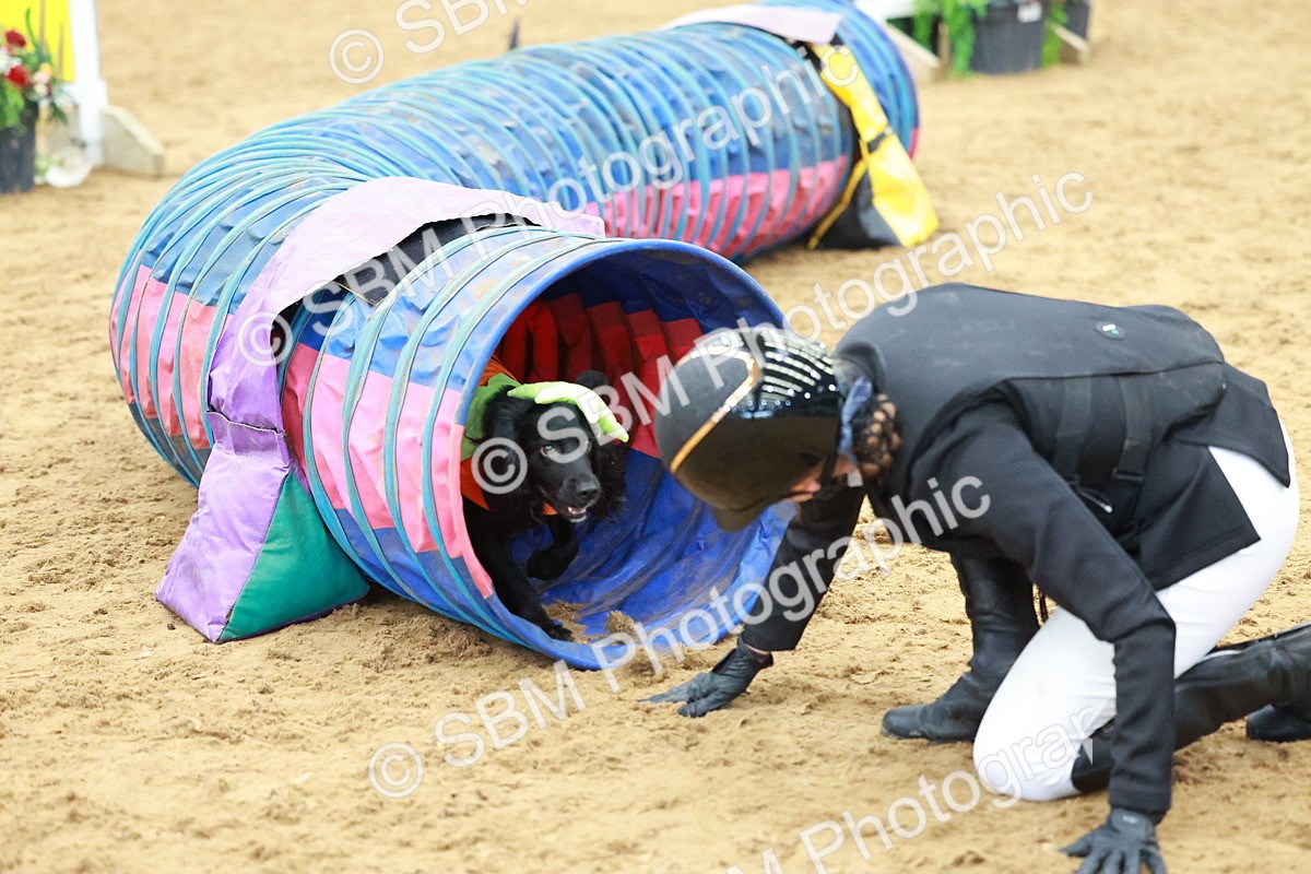 SBM_001691 - Class 3 - Horse & Hound (60cm)