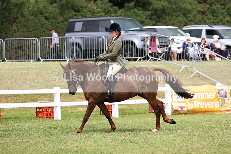 3E7A0942 - Class 8: Open Riding Horse/Hack