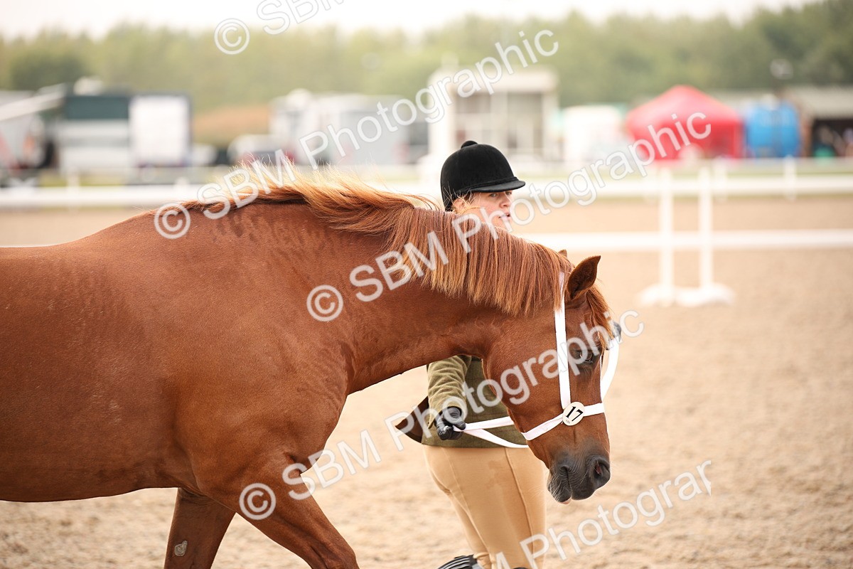 SBM_21503 - Class 706 - IH  Veteran