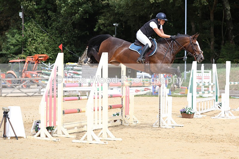 3E7A4440 - Class 8: Senior Foxhunter/1.20 open