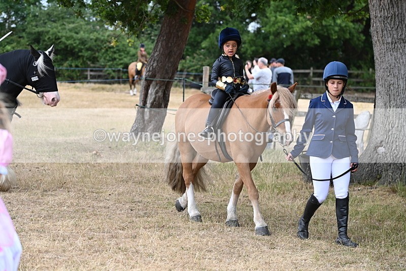 WJ6_8880 - Class 11 Fancy Dress
