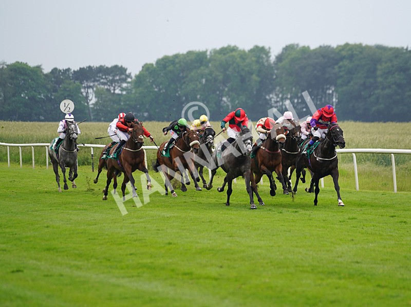 160626-Race 4-Mr King-1 - Race 4 16.02pm Every Race Live On Racing TV Handicap