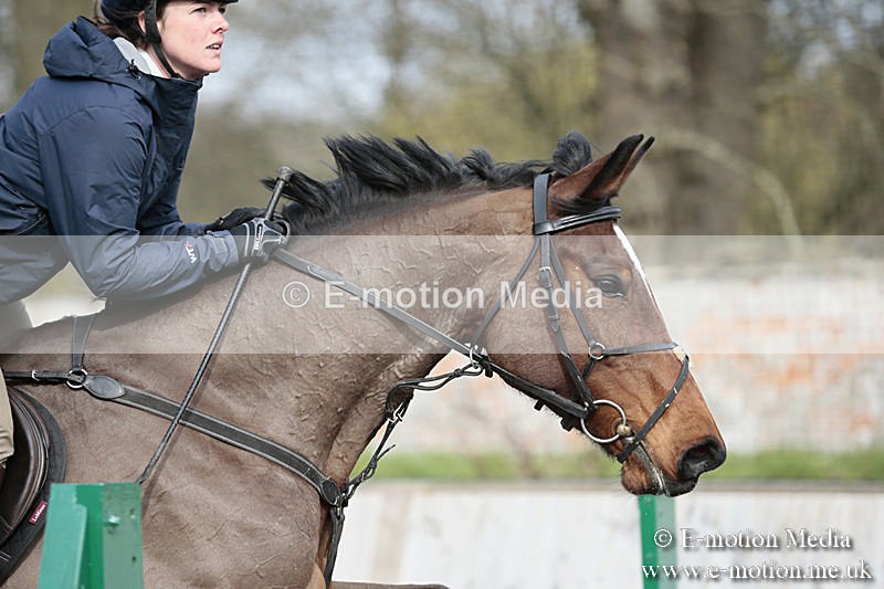 BVRC SJ 170319 743 - Bourne Valley Riding Club Showjumping 17/03/19