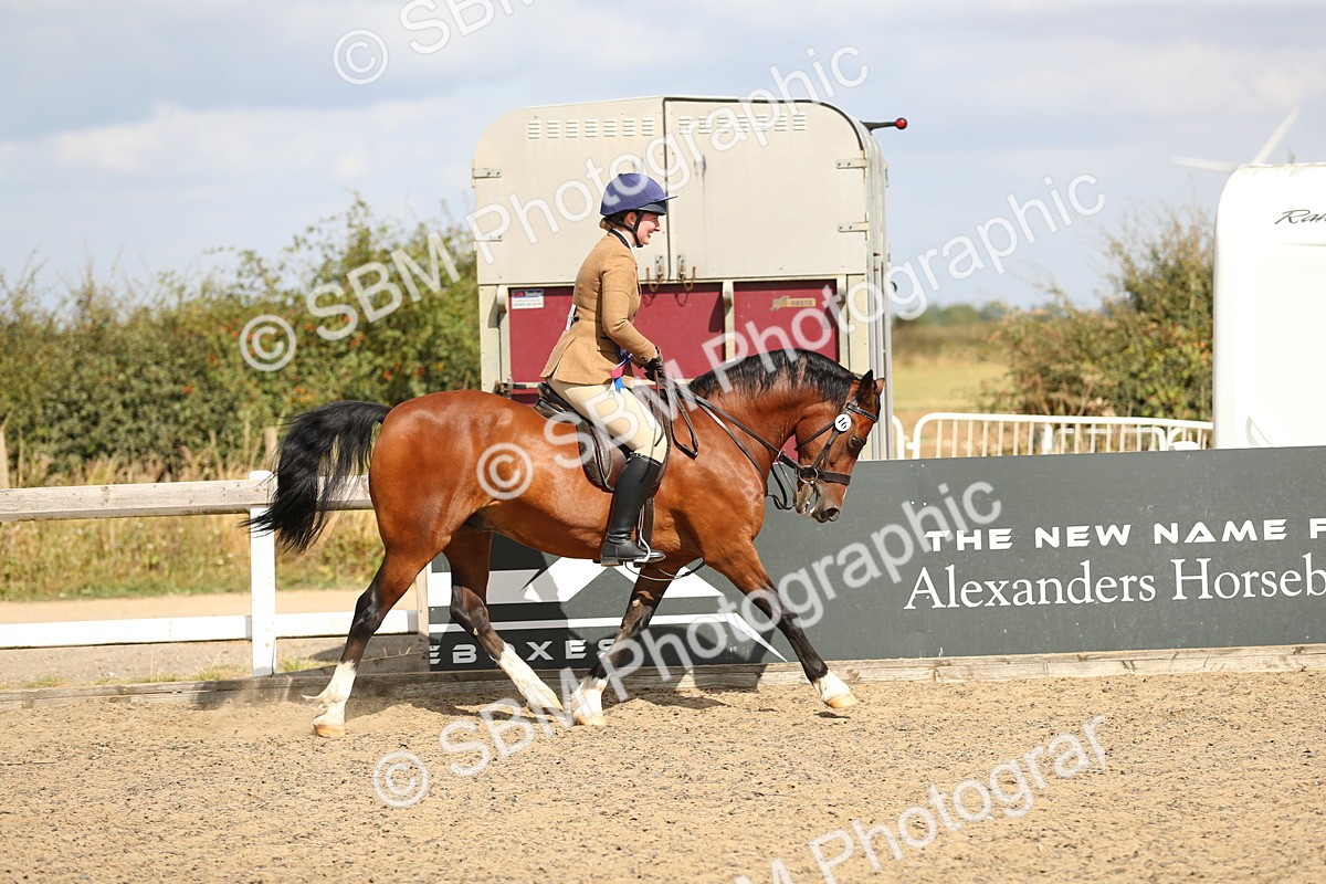 SBM_04286 - Class 46a Style & Performance 50cm (15-19)