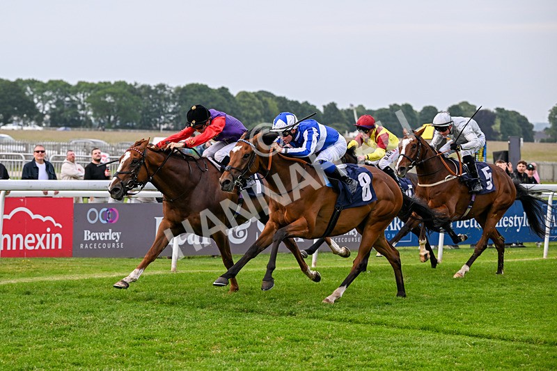 160626-Race 2-Lorcas Waltz-3844 - Race 2 19.00pm Connexin Ultrafast Maiden Stakes