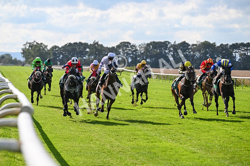 140926-Race 4-Lamlash Bay-7218 - Race 4 3.51pm Sapphire Selling Handicap