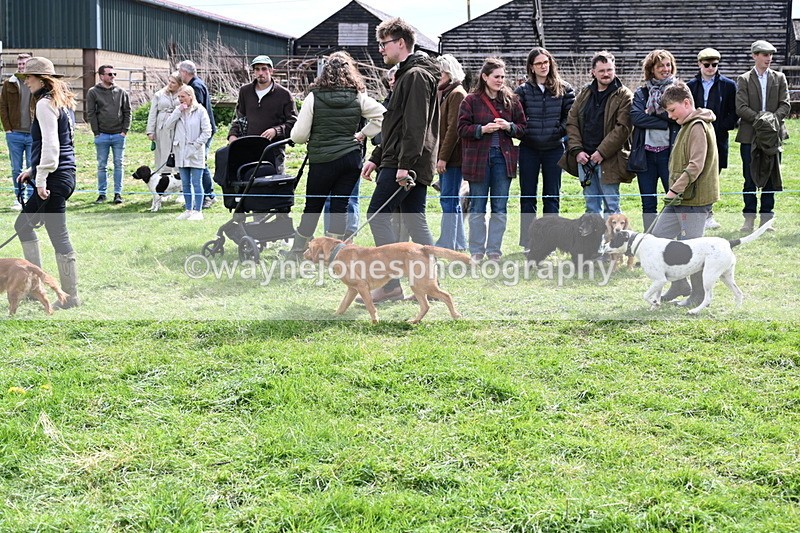 WJ6_8234 - Class 4 Prettiest Bitch