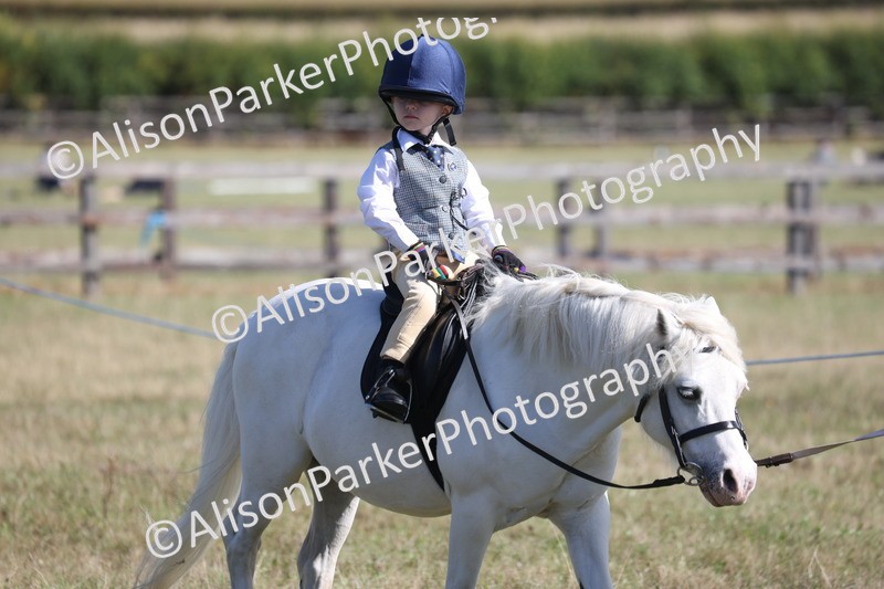 20260906-2169 - Class 16 - Family Pony