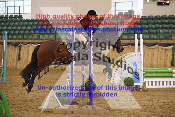WS_0029 - Class 2a  80cm Qualifier
