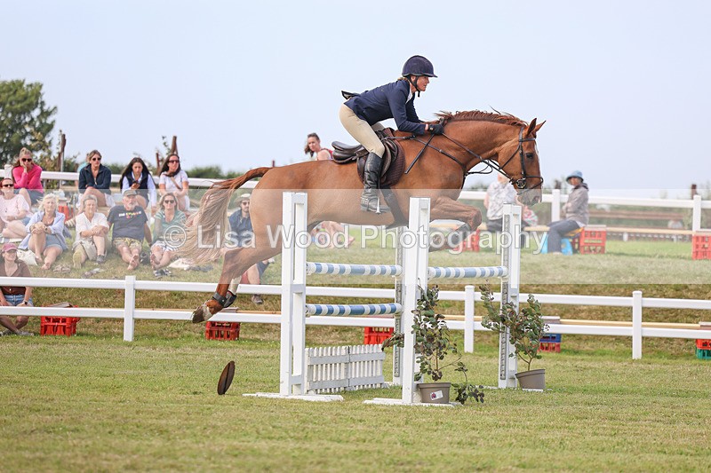 3E7A0852 - Class C: Showjumping Senior Foxhunter