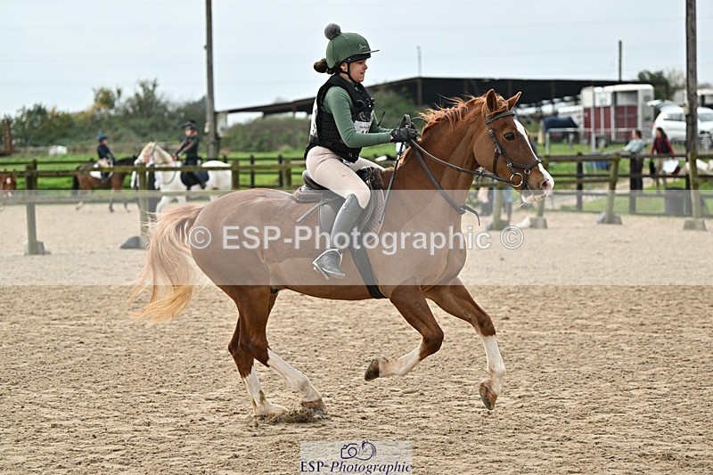 241110-120825-00613 - 50-55cm Arena Eventing