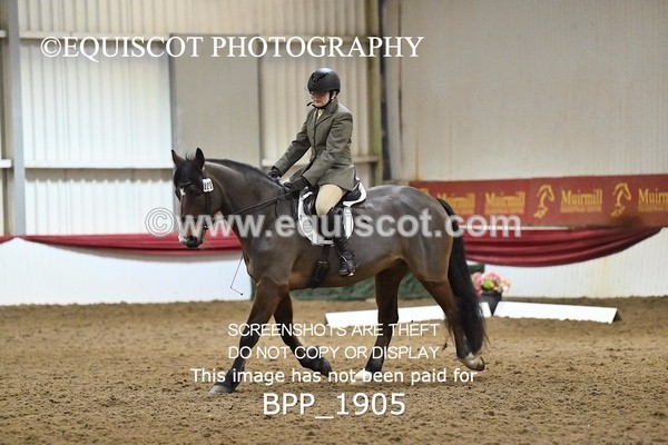 BPP_1905 - INTRO TEST 3