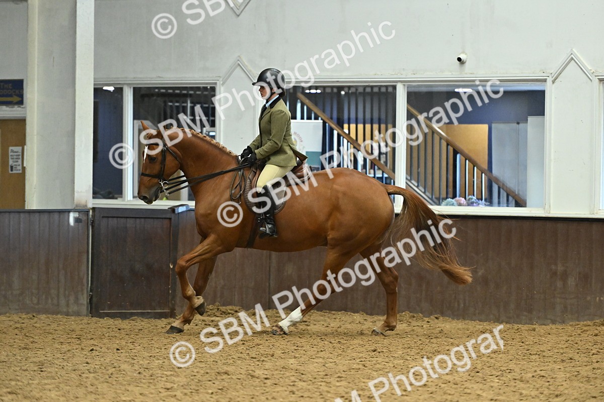 SBM_002088 - Class 23 - BSHA Ridden Show Hunter