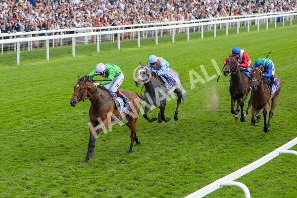 240824-Race 3-Breege-8973 - Race 3 3.00pm Sky Bet City Of York Stakes