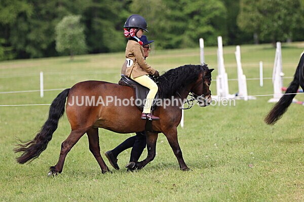 IMG_2280 - Working Hunter