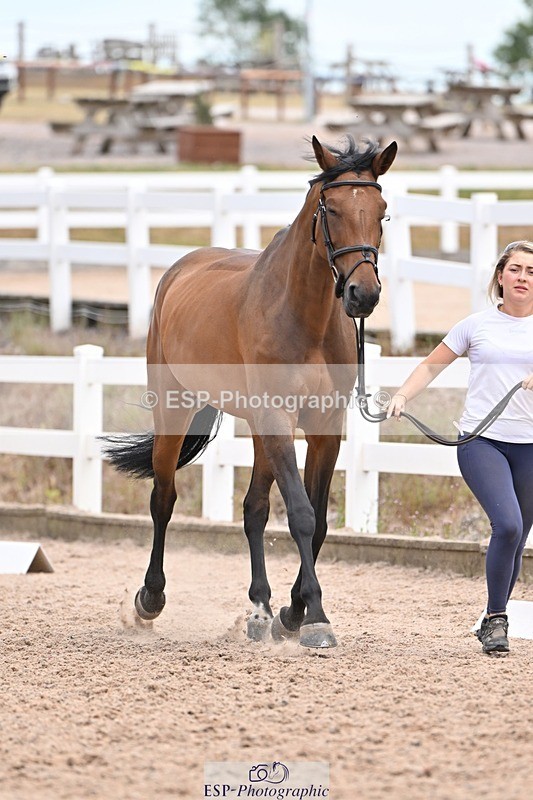 250716-141948-01019 - Trot Up 1.30 to 2.30