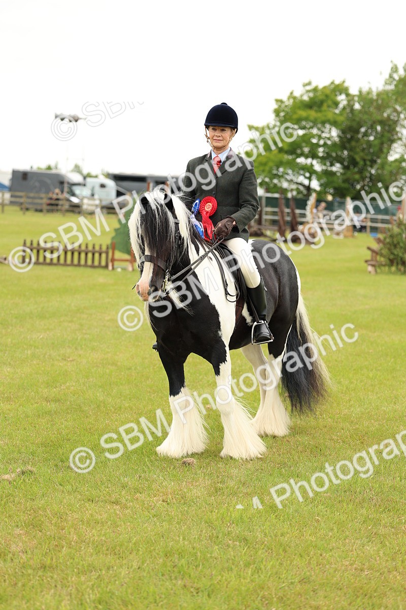 SBM_06331 - Class 39-41 TGCA In Hand and Ridden