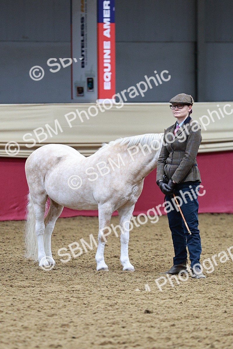 SBM_00319 - Class 1A - Area IH Diamond