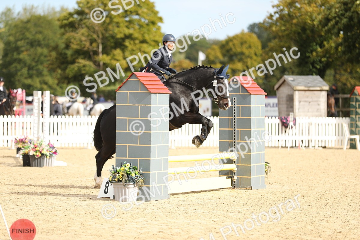 SBM_03175 - J28 - Senior Horse & Pony 60cm Championships