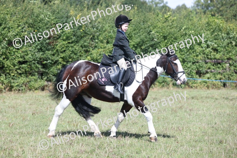 20250831-2578 - Class 16 - Family Pony