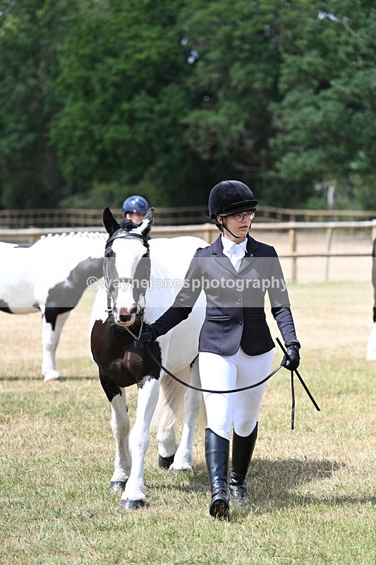WJ7_1731 - Class 4 Prettiest Mare up to 14.2hh in hand