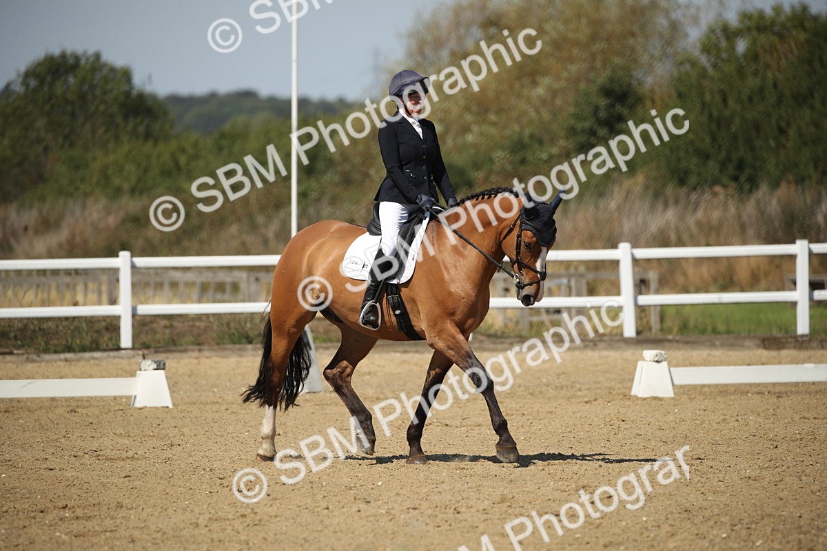 SBM_005017 - Class 11 - Novice 5 - 11.41-12.58