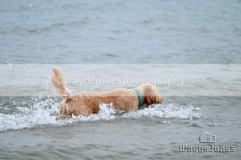 WJ7_9849 - Hayling Island Beach Shoot 22-09-24