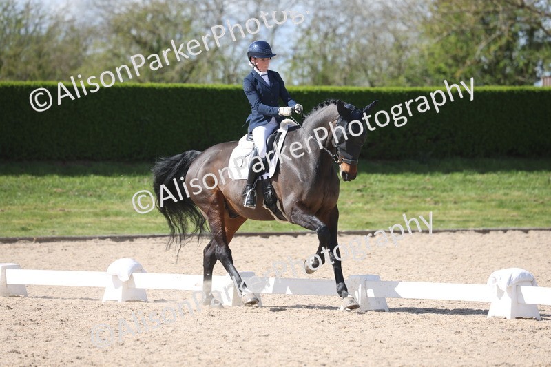 20260405-0667 - Class 7 - Medium 5