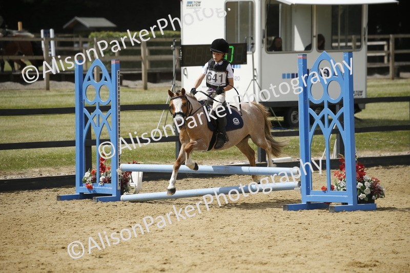 20250622-4069 - 50cm