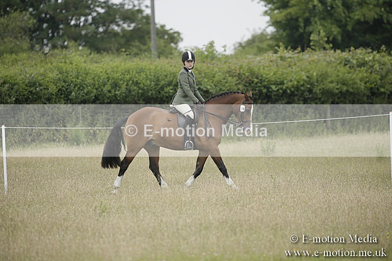 B230619-0299 - Bourne Valley Riding Club Summer Show 23/06/19