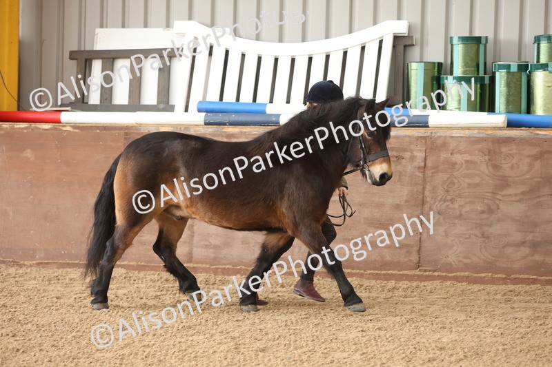 20251109-0594 - Class 22 - Geldings 4 Years and over