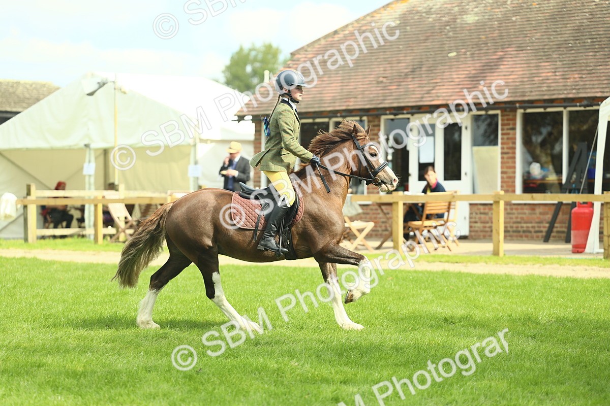 SBM_42836 - S30 - M&M Working hunter Pony