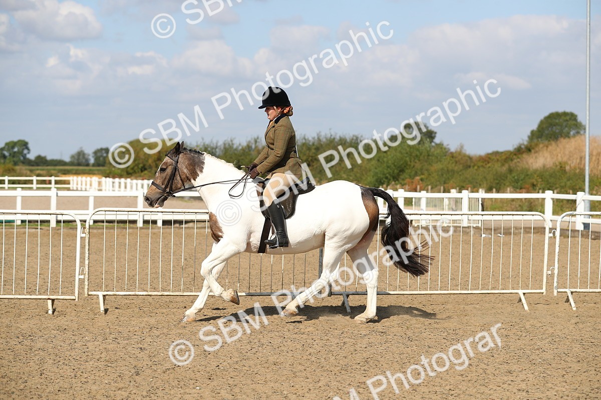 SBM_03165 - Class 44 Riding Club Horse/ Pony