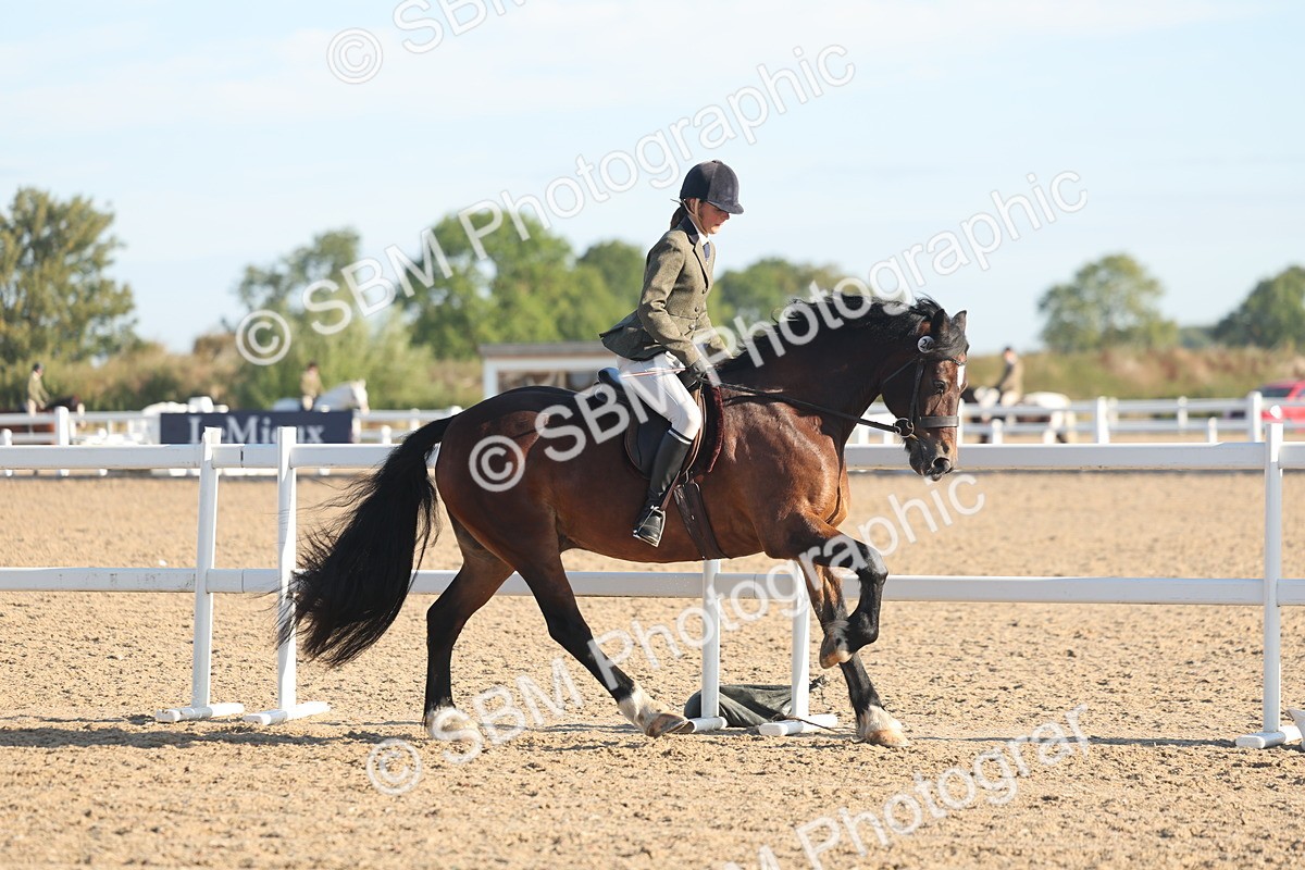 SBM_10995 - Class 302 - Ridden M&M Large Breeds