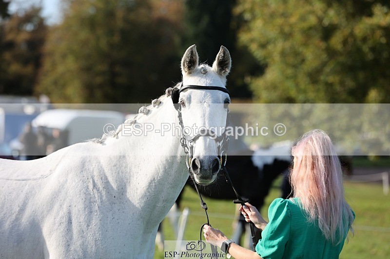 241027-102010-15820 - 506-Emma.Farrar-HER.NAME.IS.LOLA