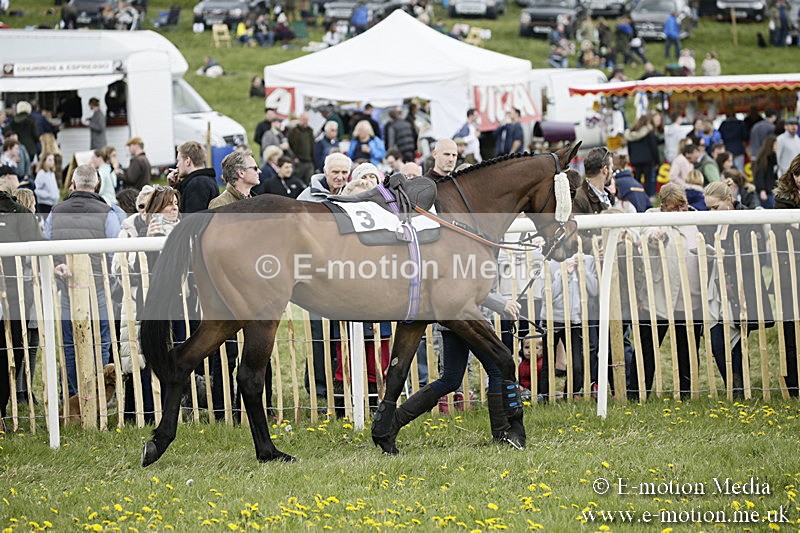 PtP 170417 111 - Old Berks Point-to-Point Lockinge 17/04/17