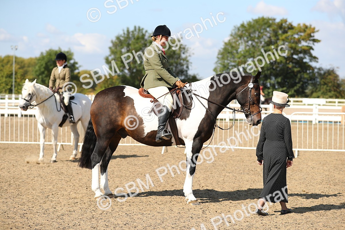 SBM_03181 - Class 44 Riding Club Horse/ Pony