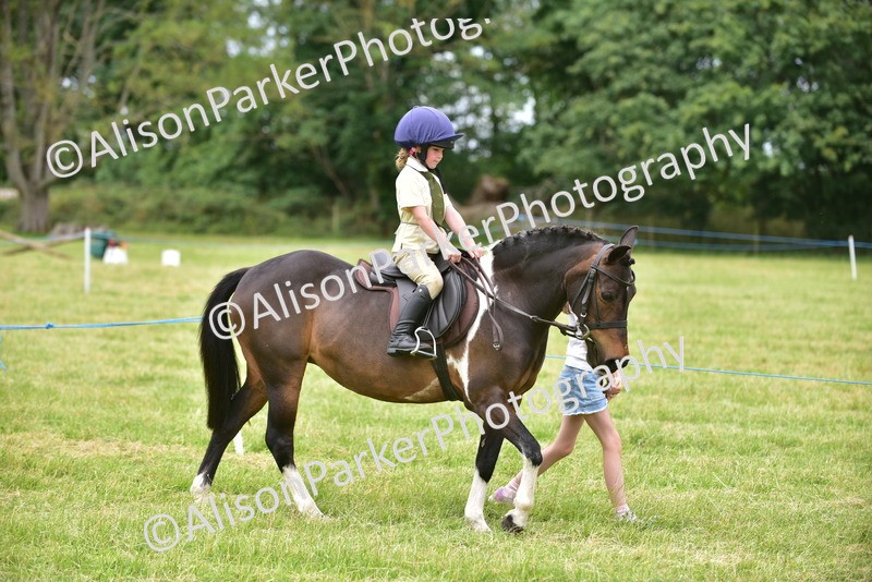 20260614-2702 - Class 13 - Pony Club Pony