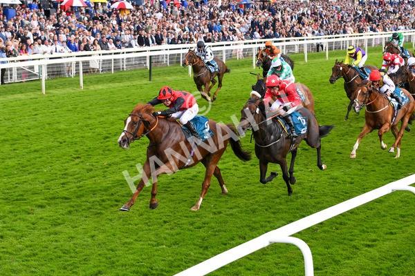 150723-Race 7-Roundhay Park-0753 - Race 7 5.30 pm John Smith's Sprint Handicap