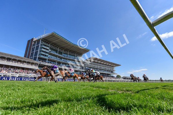 160525-Race 2-Thunder Run-2635 - Race 2 2.42pm Knights Solicitors Handicap