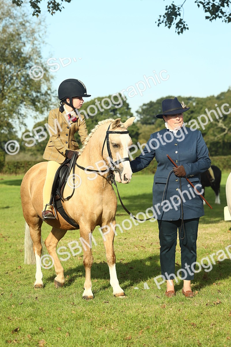 SBM_59240 - S38 - Starters Ridden Showing