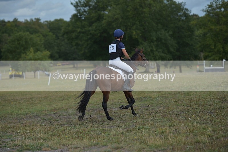 NGP_1463 - XC Time 10:38 to 10:51