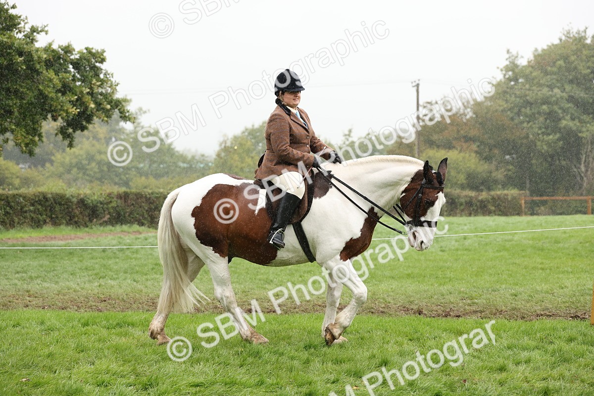 SBM_69777 - S69 - Show Cob Ridden