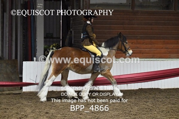 BPP_4866 - CLASS 1 X POLES